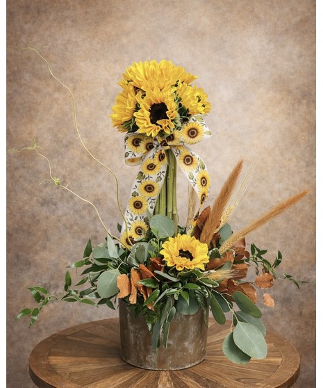 Pour on the Sunshine