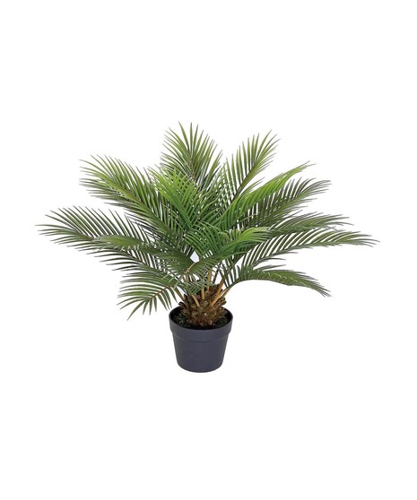 Palm Plant (Silk)