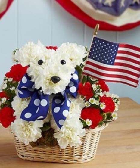 Patriotic Pup