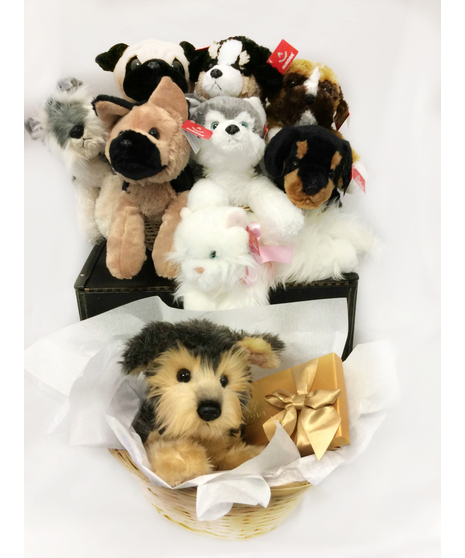 Pet Lover Bundle