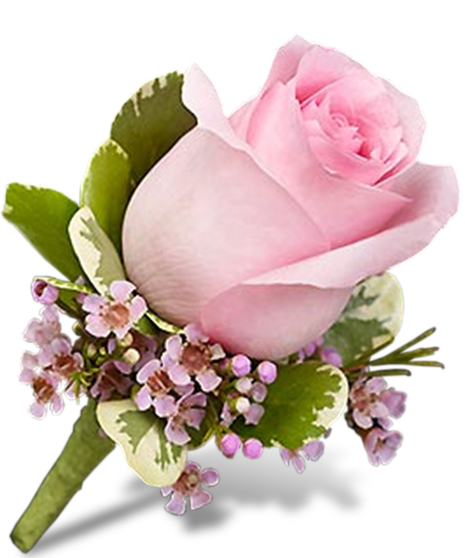 Classic Rose Boutonniere