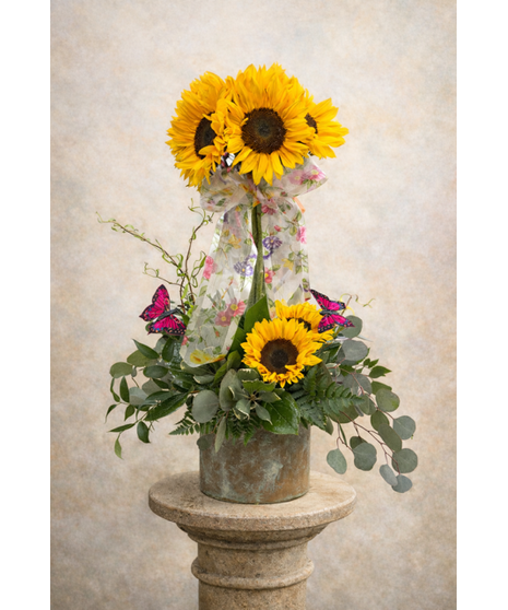 Pour on the Sunshine