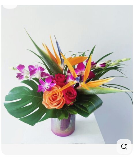 September Design Class- TROPICAL- 9/16/26