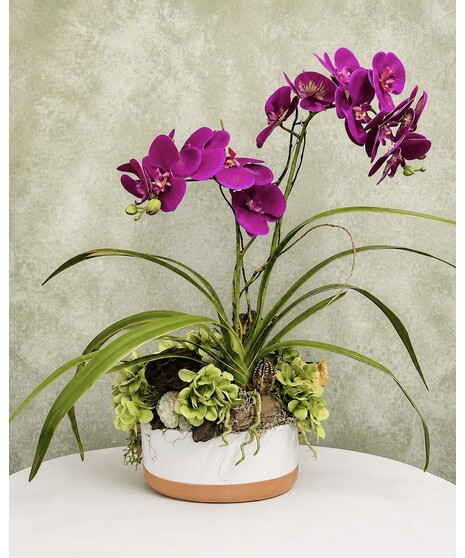 Urban Orchids (Silk)