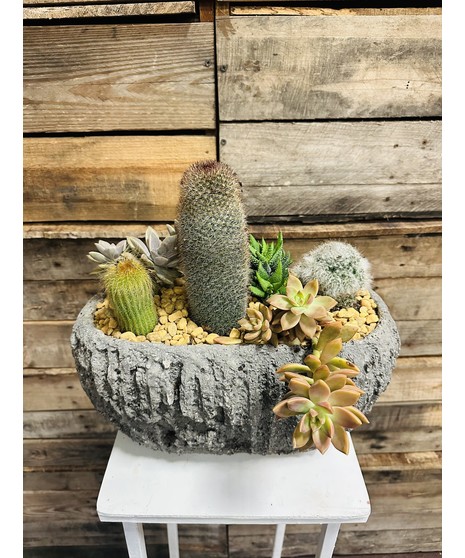 stoneware succulent planter