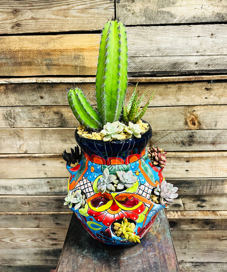 SUCCULENT STRAWBERRY POT