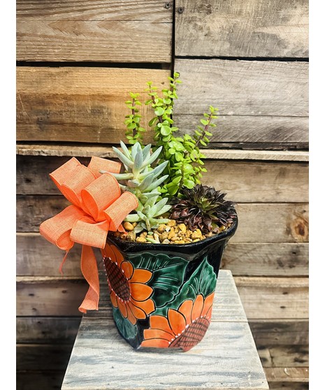 DESERT POT SUCCULENT GARDEN