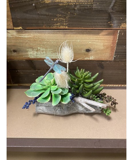 silk succulent arrangement on driftwood planter