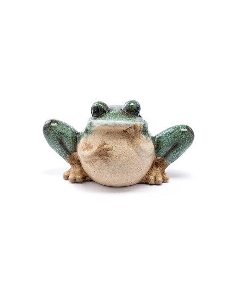 Sitting Frog Holding Face
