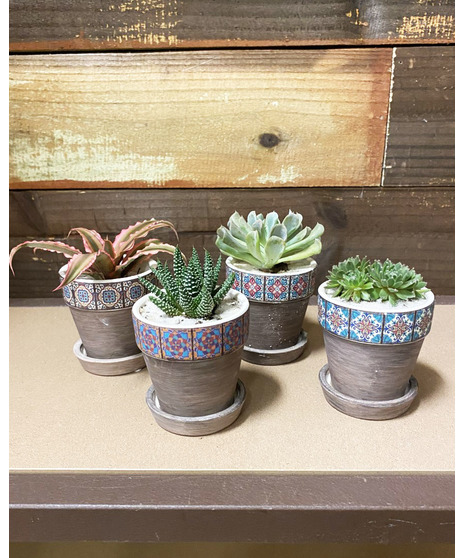 Desert Quartet