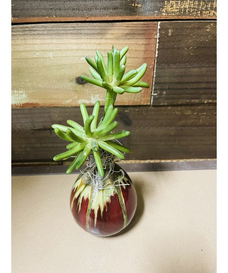 Tall Silk Arrangement 