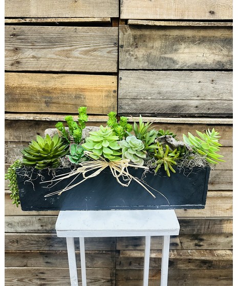 April Design Class:  Succulent Garden- 4/22/26