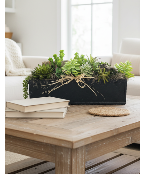 Modern Succulent Garden