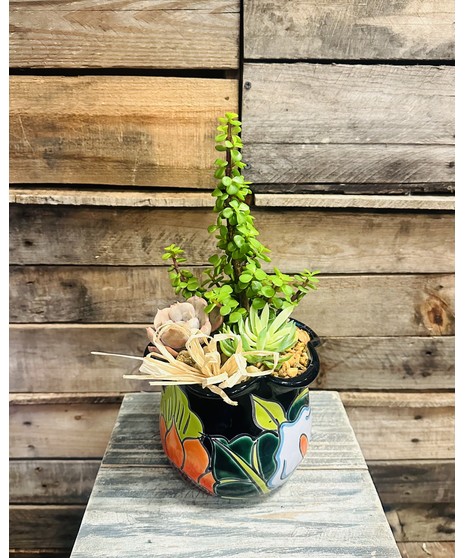 desert succulent garden with dramatic cacti and succulents