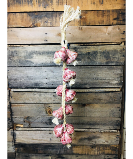 Talavera hanging vegetables
