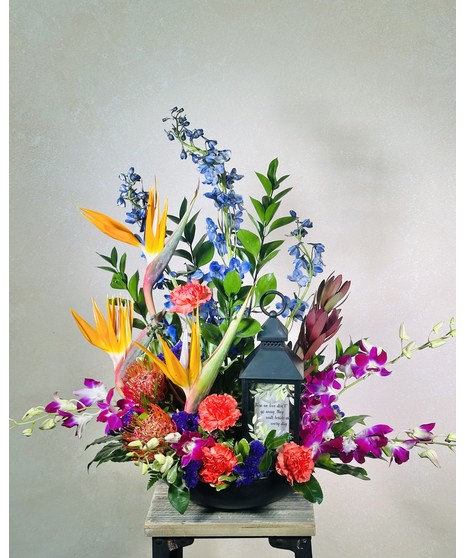 Tropical Illumination