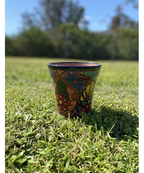talavera pot