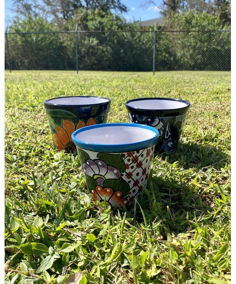 talavera pot