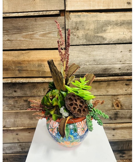 Talavera Succulents (Silk)