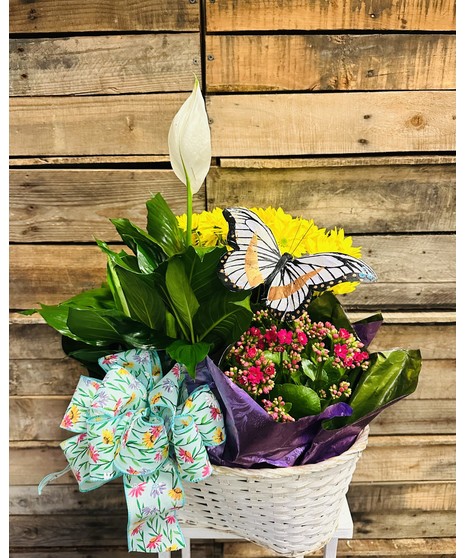 TRIPLE BLOOMING BASKET