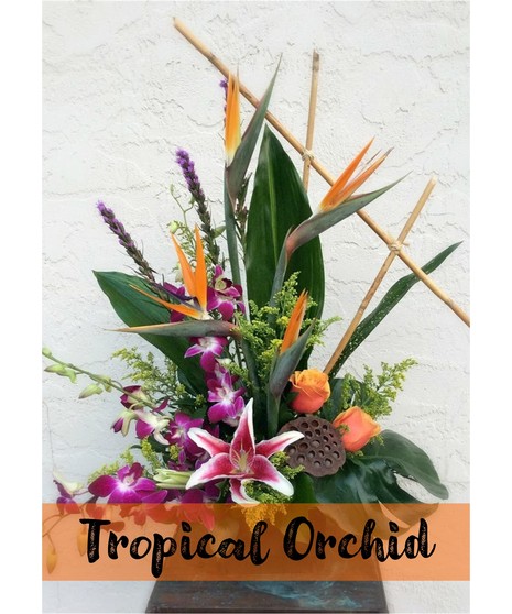 August Design Class: Tropical Orchid Design- 8/13/25