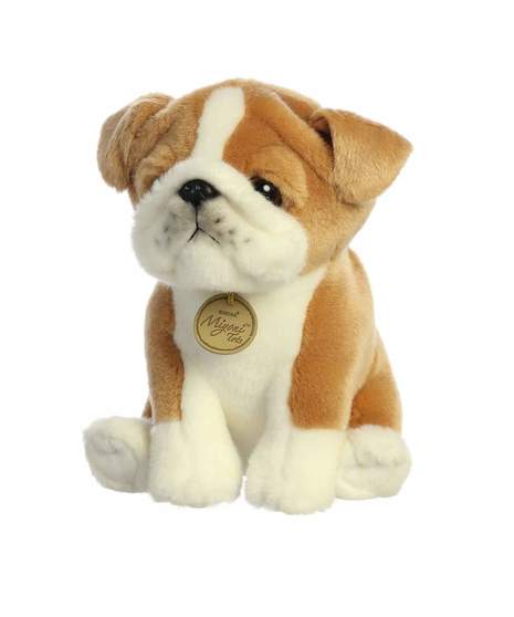 Bull Dog Pup
