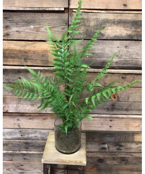 Artificial Silk Ferns