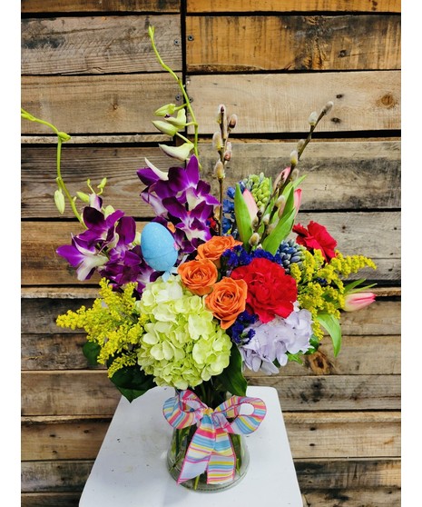 Orchids For Everyday