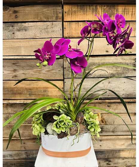 Urban Orchids (Silk)