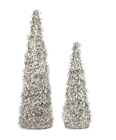 Silver Cone Tree