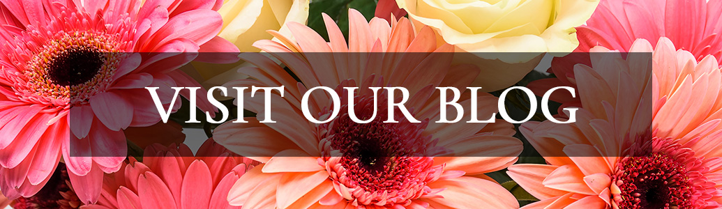 Visit Our Blog